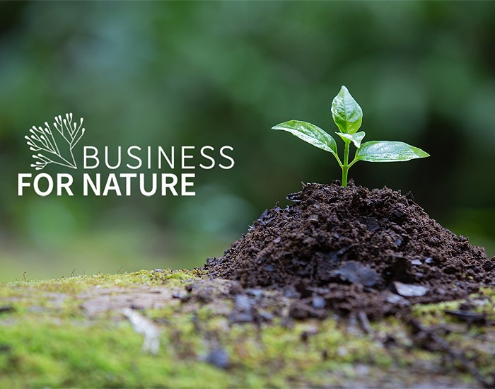 Votorantim Cimentos adere ao movimento Business for Nature 