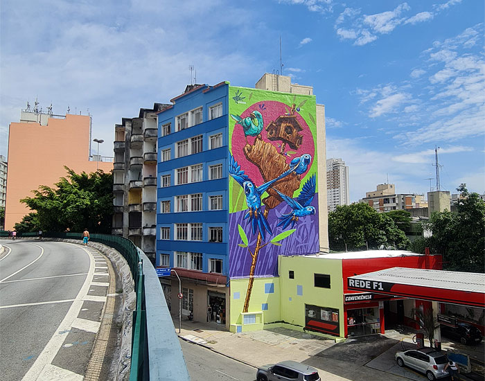 Ararinhas-azuis ganham pintura multicolorida no centro de São Paulo