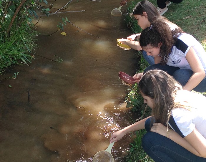 Prêmio Gerdau Germinar abre inscrições para projetos de educação ambiental 