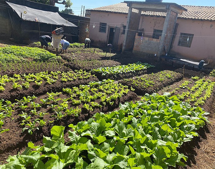 Instituto LafargeHolcim investe em projetos sociais e ambientais em Minas Gerais