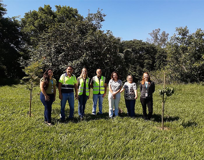 Amanco Wavin realiza plantio de mudas na comunidade do Morro do Amaral (SC) 