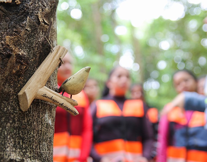 Hydro promove ações voltadas para a preservação do meio ambiente  