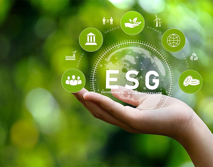 Grupo Sonepar reforça iniciativas ESG no Mês Mundial do Meio Ambiente