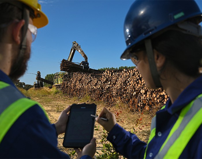 Gerdau evolui e atinge liderança na agenda climática do CDP