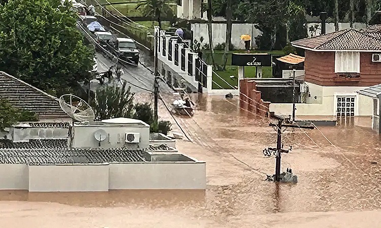 Empresas e entidades fazem campanhas para ajudar as vítimas das chuvas no RS