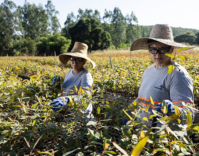 Indústrias de matcon reforçam compromisso com a sustentabilidade 