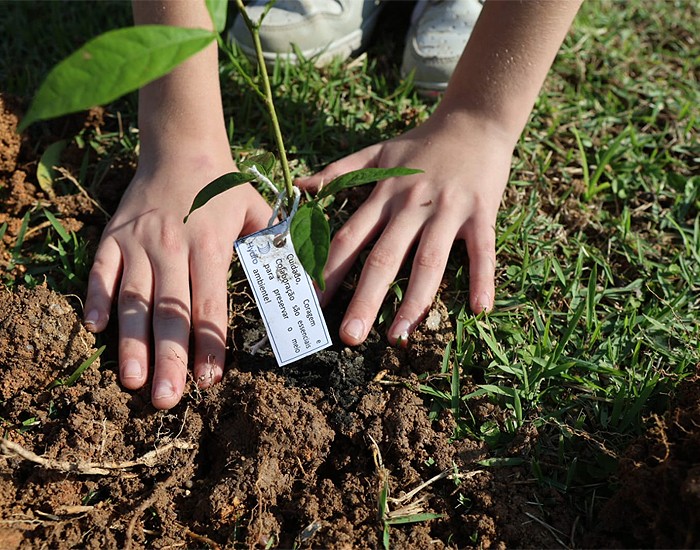 Hydro Extrusão recebe visita de estudantes em seu parque ambiental em Tubarão (SC) 
