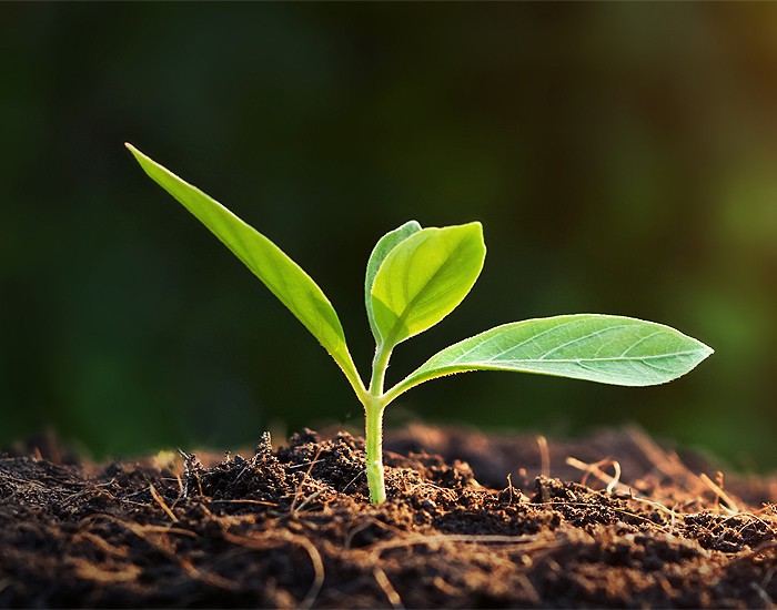 Schneider Electric é apontada como a empresa mais sustentável do mundo 