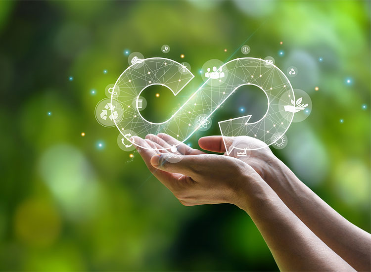 Seis em cada 10 adotam economia circular
