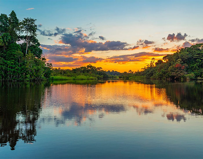 Stihl Brasil detalha resultados nas áreas ambiental, social e de governança