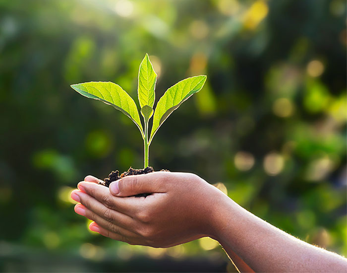 Desafio de inovação da Tupy foca em eficiência e menor impacto ambiental  