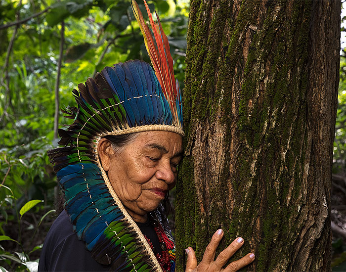 Roca patrocina SP-Arte 2026 e sedia exposição no São Paulo Gallery