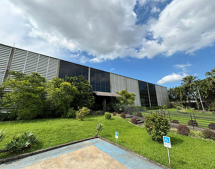 Sintex aposta no e-commerce para fortalecer a relação com o consumidor e crescer 