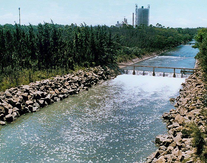 ArcelorMittal celebra o Dia do Meio Ambiente com avanço em práticas sustentáveis 
