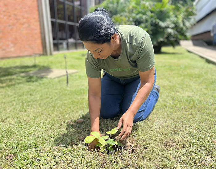 Cerbras mantém projetos e reforça compromisso com a preservação ambiental 