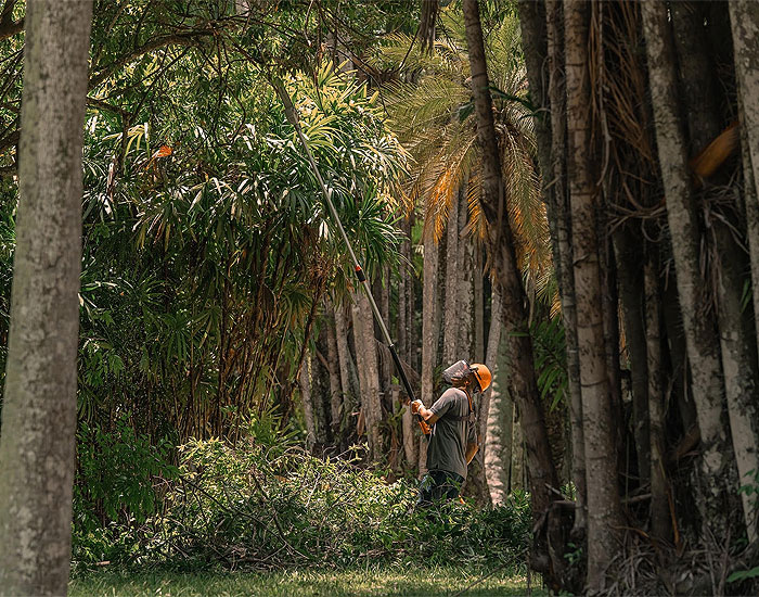 Stihl Brasil lança Relatório de Sustentabilidade com escopo da América Latina 